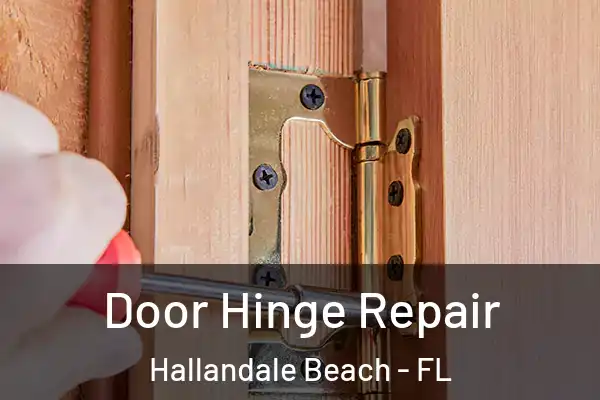 Door Hinge Repair Hallandale Beach - FL