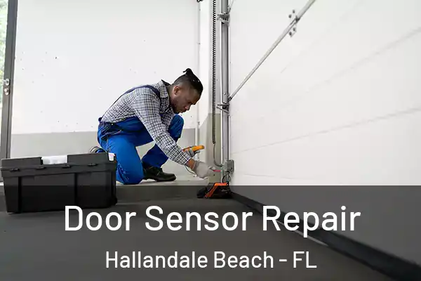 Door Sensor Repair Hallandale Beach - FL
